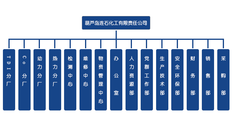 組織機(jī)構(gòu)