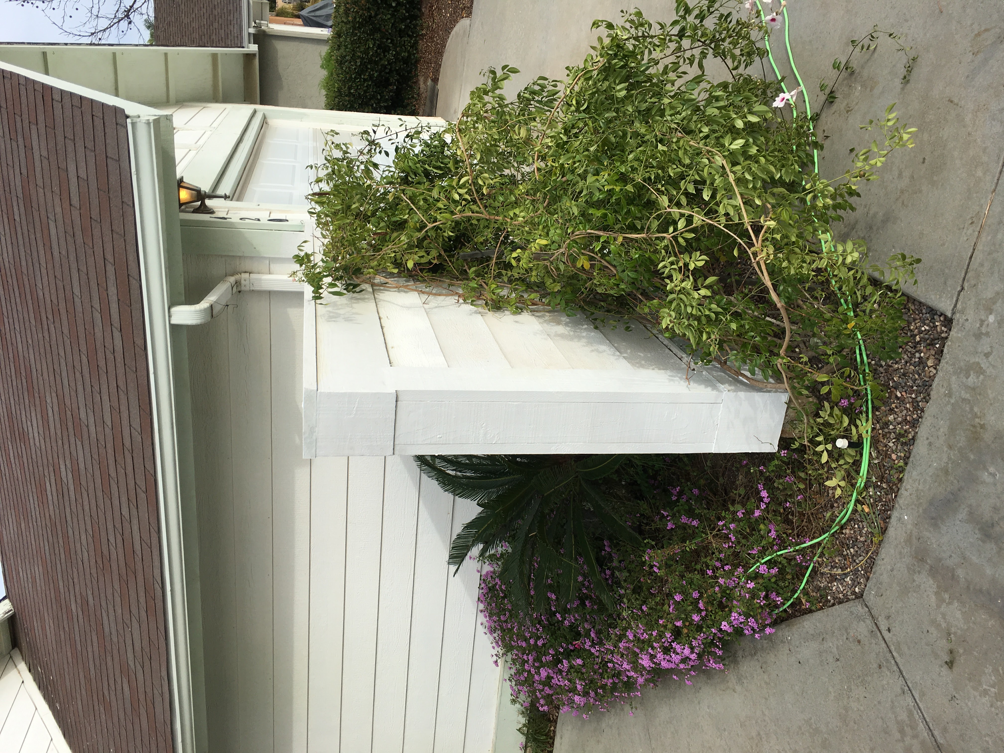 Premium stucco exterior wall after restoration